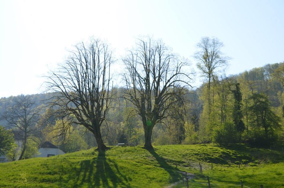 ホテル Bad Schauenburg リースタル エクステリア 写真